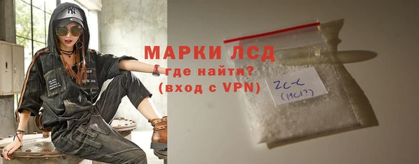 прущий лед Алзамай