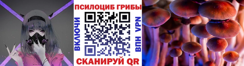 Псилоцибиновые грибы мухоморы  купить закладку  Мытищи 
